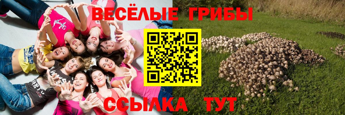 Псилоцибиновые грибы мухоморы  Галлюциногенные грибы мицелий  Вход с VPN  Крымск 