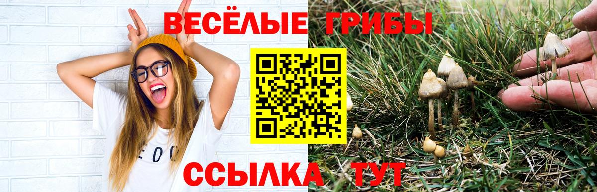 Псилоцибиновые грибы GOLDEN TEACHER Крымск